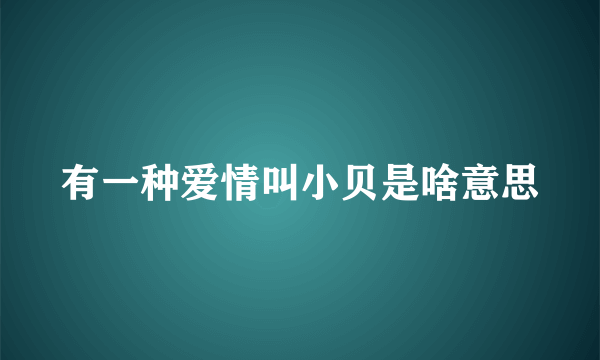 有一种爱情叫小贝是啥意思