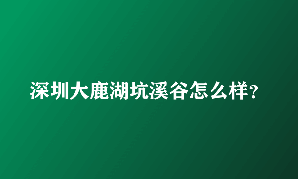 深圳大鹿湖坑溪谷怎么样？