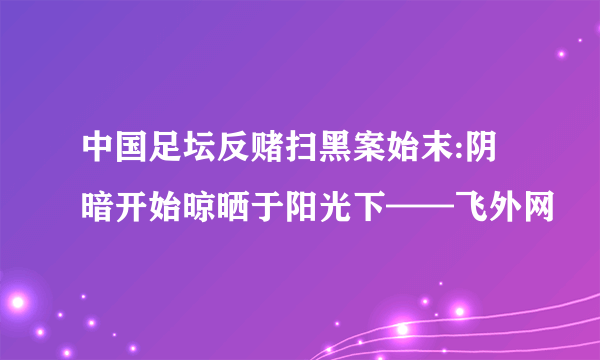 中国足坛反赌扫黑案始末:阴暗开始晾晒于阳光下——飞外网