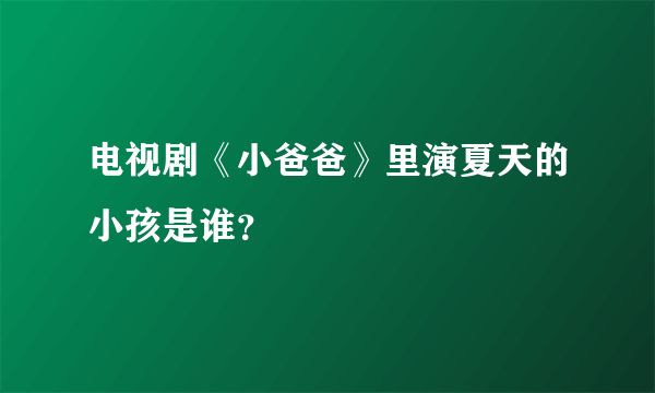 电视剧《小爸爸》里演夏天的小孩是谁？