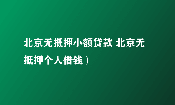 北京无抵押小额贷款 北京无抵押个人借钱）