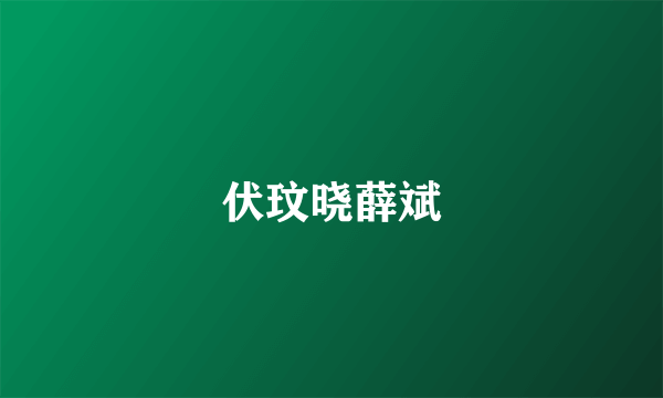 伏玟晓薛斌