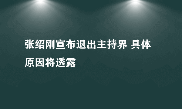 张绍刚宣布退出主持界 具体原因将透露