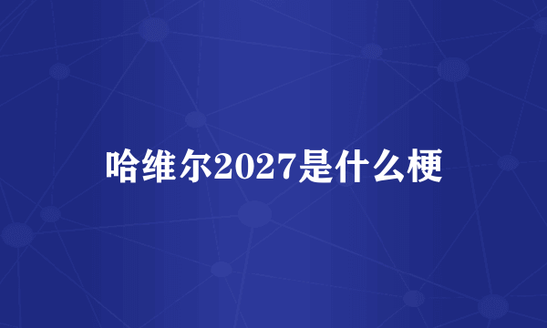 哈维尔2027是什么梗