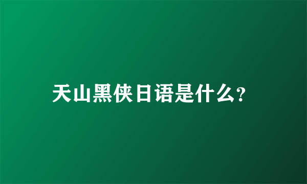 天山黑侠日语是什么？