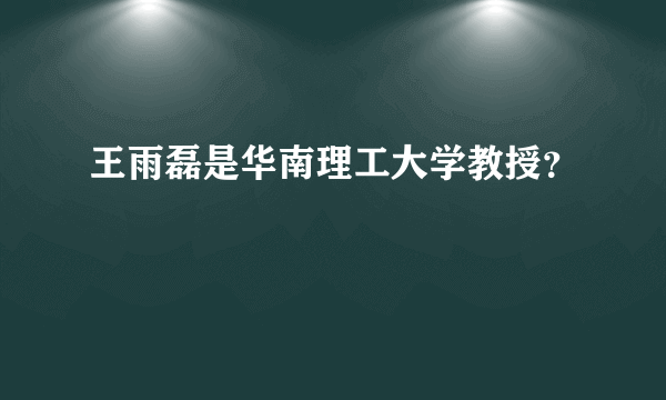 王雨磊是华南理工大学教授？