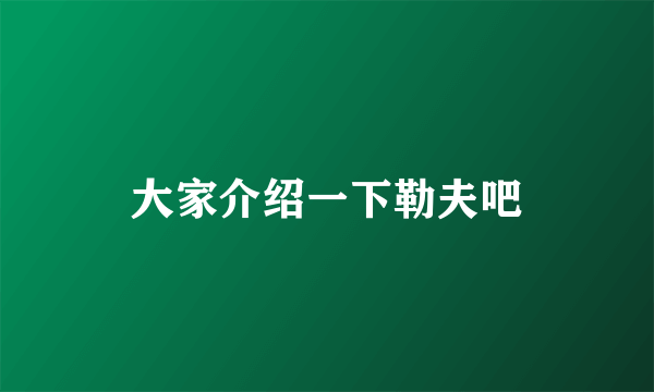 大家介绍一下勒夫吧