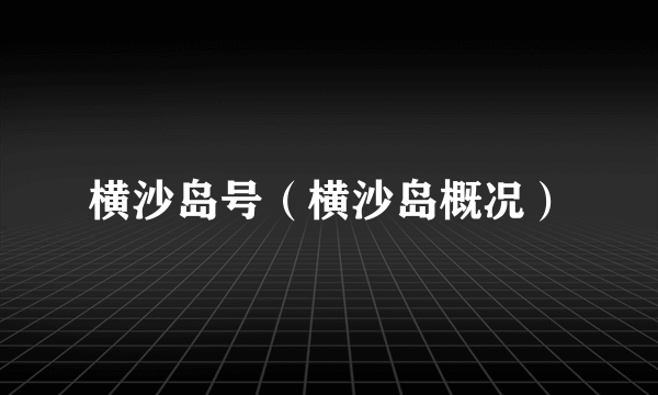 横沙岛号（横沙岛概况）