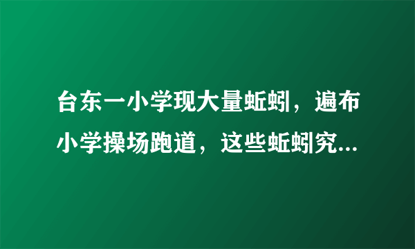 台东一小学现大量蚯蚓，遍布小学操场跑道，这些蚯蚓究竟从何而来？