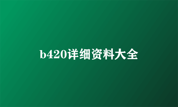 b420详细资料大全