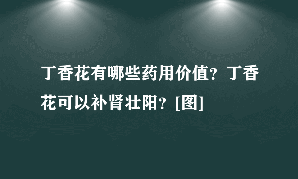 丁香花有哪些药用价值？丁香花可以补肾壮阳？[图]