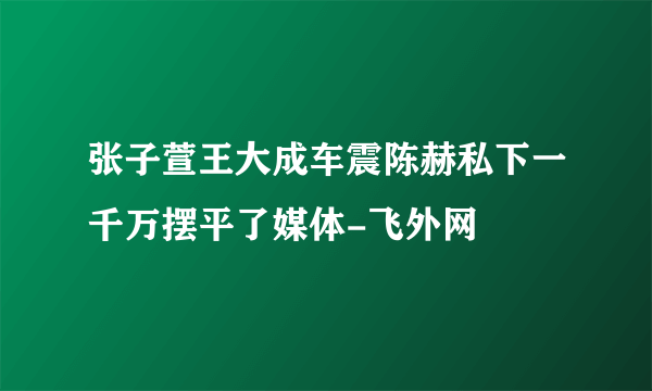 张子萱王大成车震陈赫私下一千万摆平了媒体-飞外网