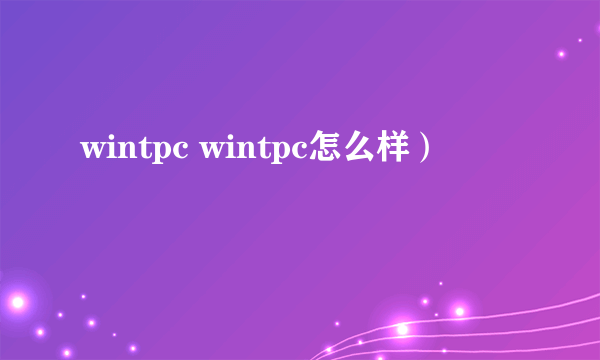 wintpc wintpc怎么样）