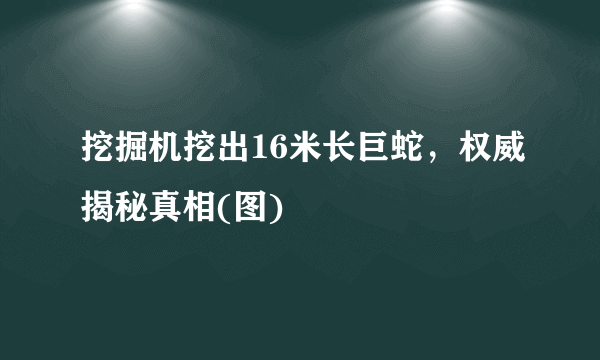 挖掘机挖出16米长巨蛇，权威揭秘真相(图) 