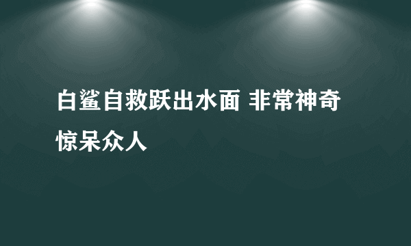 白鲨自救跃出水面 非常神奇惊呆众人