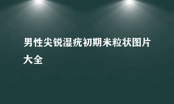 男性尖锐湿疣初期米粒状图片大全