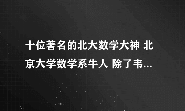 十位著名的北大数学大神 北京大学数学系牛人 除了韦东奕你还知道谁