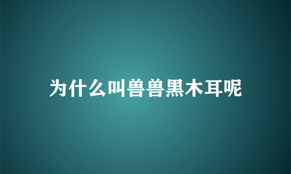 为什么叫兽兽黑木耳呢