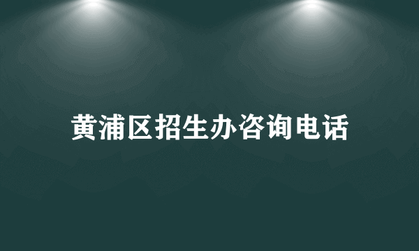 黄浦区招生办咨询电话