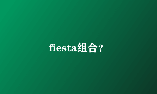 fiesta组合？