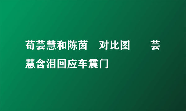 苟芸慧和陈茵媺对比图   茍芸慧含泪回应车震门