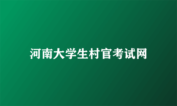 河南大学生村官考试网