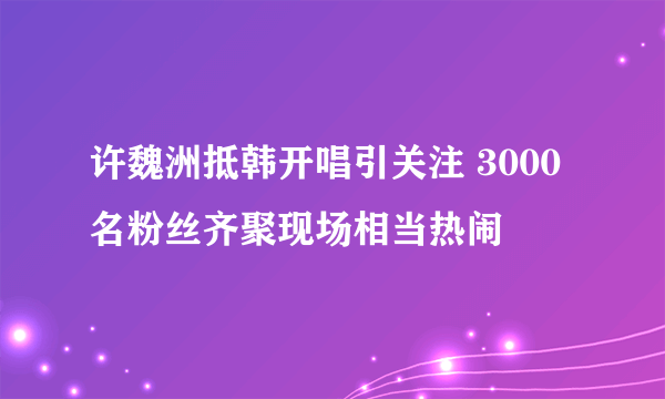 许魏洲抵韩开唱引关注 3000名粉丝齐聚现场相当热闹