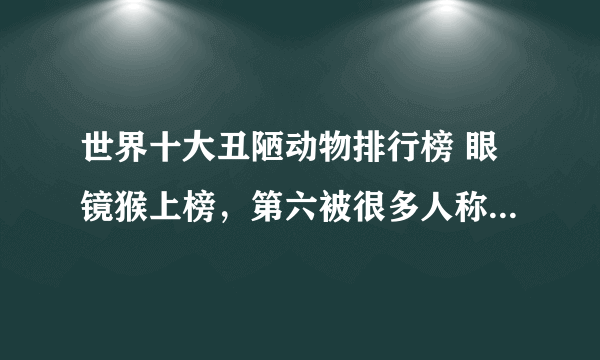 世界十大丑陋动物排行榜 眼镜猴上榜，第六被很多人称为“怪物”