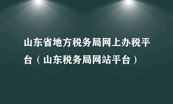 山东省地方税务局网上办税平台（山东税务局网站平台）