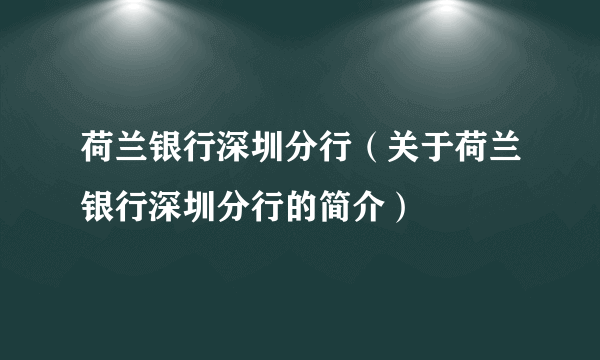 荷兰银行深圳分行（关于荷兰银行深圳分行的简介）