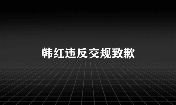 韩红违反交规致歉