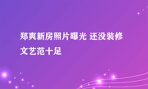 郑爽新房照片曝光 还没装修文艺范十足