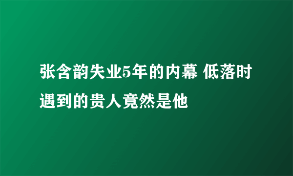 张含韵失业5年的内幕 低落时遇到的贵人竟然是他