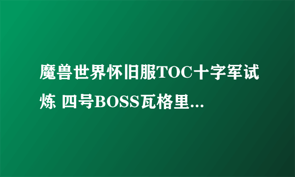 魔兽世界怀旧服TOC十字军试炼 四号BOSS瓦格里双子打法攻略