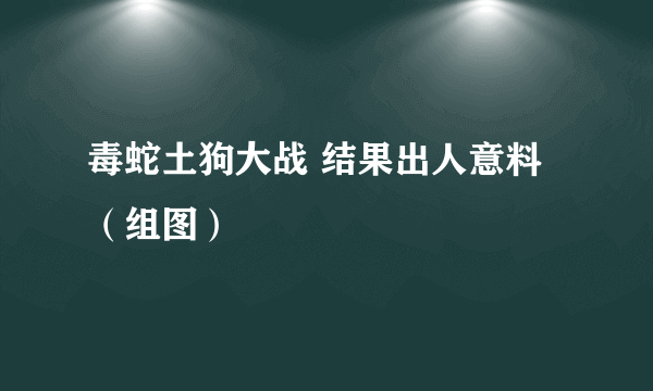 毒蛇土狗大战 结果出人意料（组图）