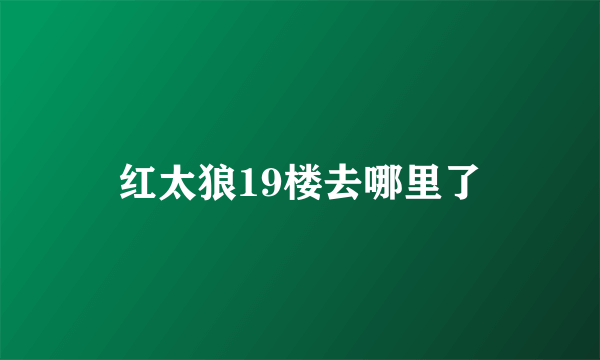 红太狼19楼去哪里了