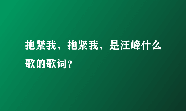 抱紧我，抱紧我，是汪峰什么歌的歌词？