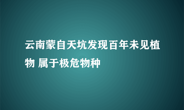 云南蒙自天坑发现百年未见植物 属于极危物种