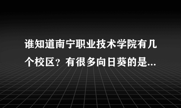 谁知道南宁职业技术学院有几个校区？有很多向日葵的是哪个校区，地址是？从琅东汽车站如何到达这个校区