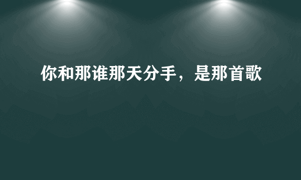 你和那谁那天分手，是那首歌