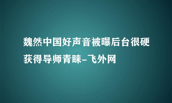 魏然中国好声音被曝后台很硬获得导师青睐-飞外网