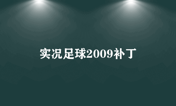 实况足球2009补丁