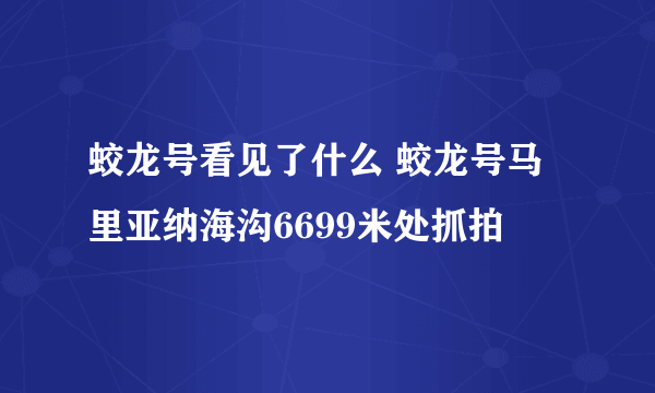 蛟龙号看见了什么 蛟龙号马里亚纳海沟6699米处抓拍