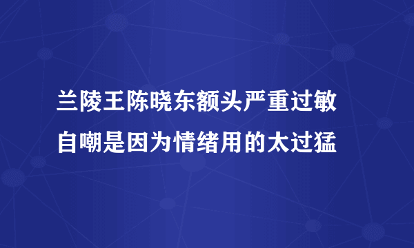 兰陵王陈晓东额头严重过敏 自嘲是因为情绪用的太过猛