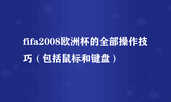 fifa2008欧洲杯的全部操作技巧（包括鼠标和键盘）