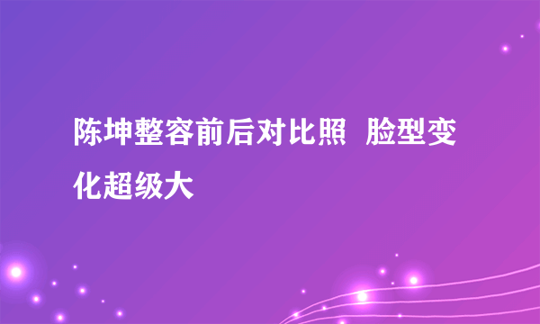 陈坤整容前后对比照  脸型变化超级大