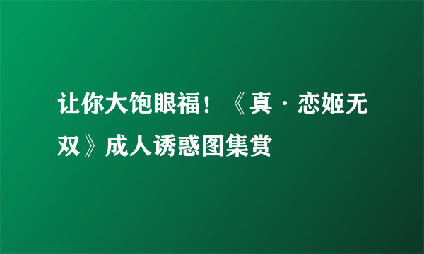 让你大饱眼福！《真·恋姬无双》成人诱惑图集赏