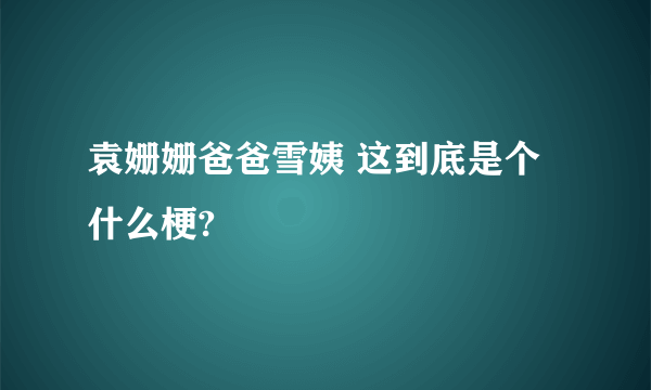 袁姗姗爸爸雪姨 这到底是个什么梗?