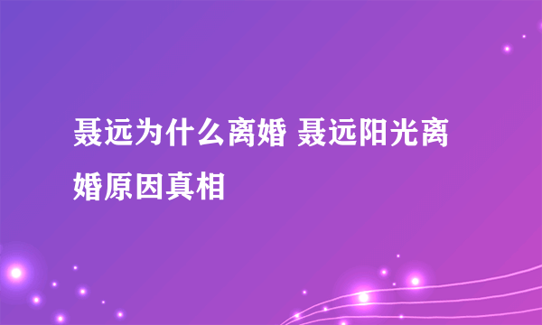 聂远为什么离婚 聂远阳光离婚原因真相