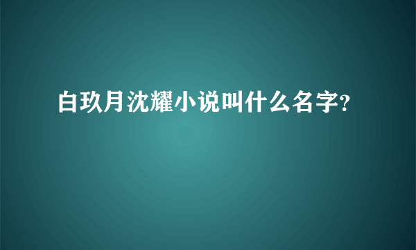 白玖月沈耀小说叫什么名字？